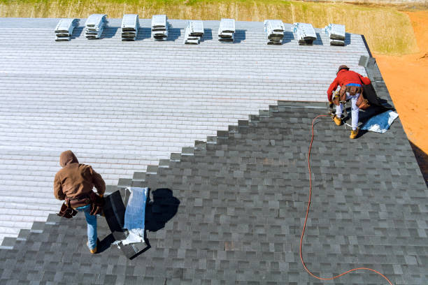 Best New Roof Installation  in Palo, IA
