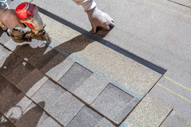 Best Roof Maintenance Services  in Palo, IA